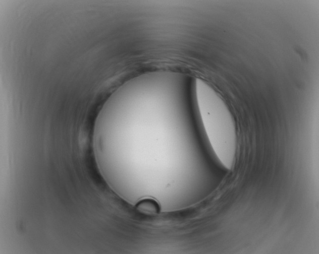 X0000114630608200910201023
