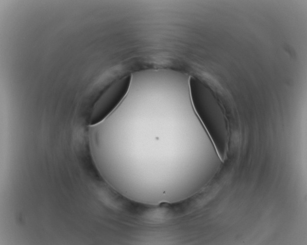X0000114630609200910201023