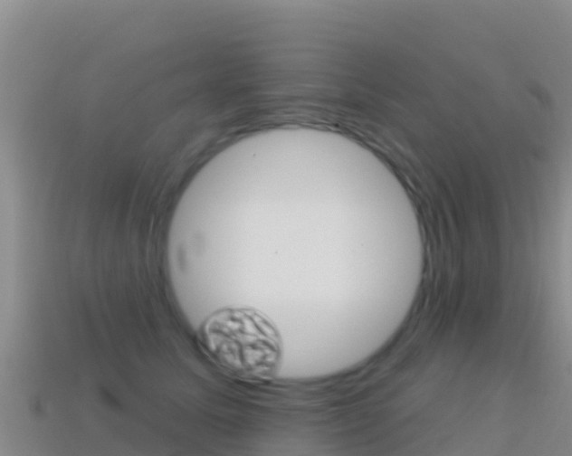 X0000114630611200910201023