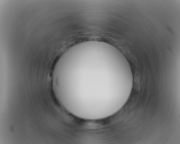 X0000114630614200910201023