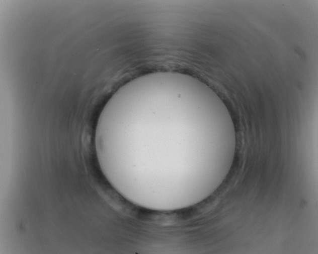 X0000114630615200910201023