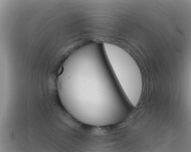 X0000114630616200910201023