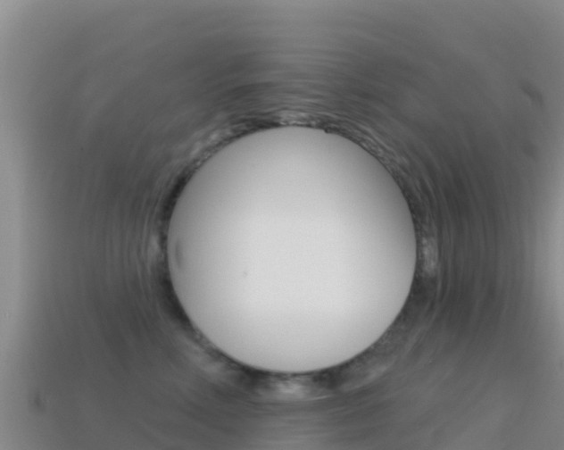 X0000114630618200910201023