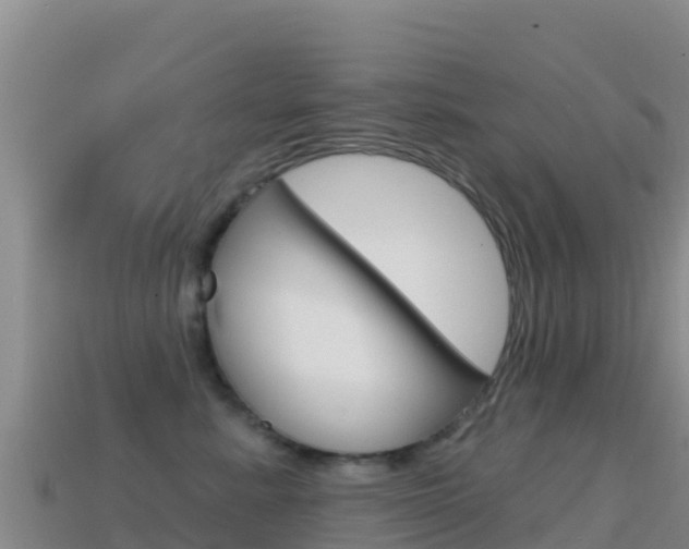 X0000114630619200910201023