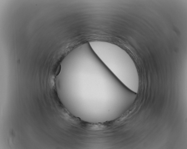 X0000114630621200910201023