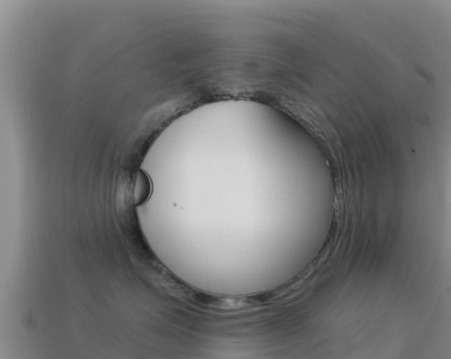 X0000114630623200910201023