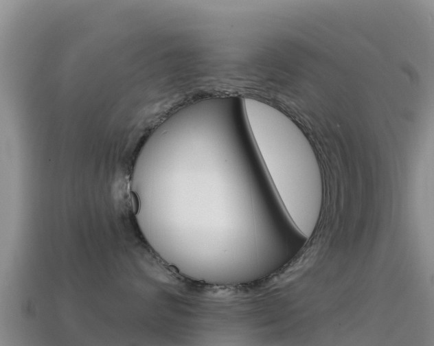 X0000114630624200910201023