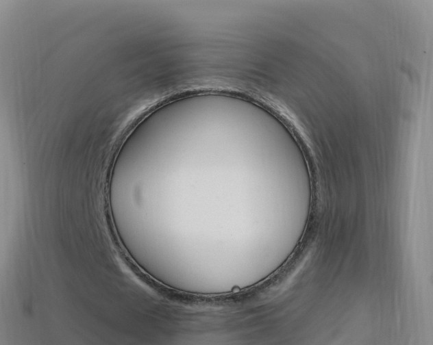 X0000114630625200910201022