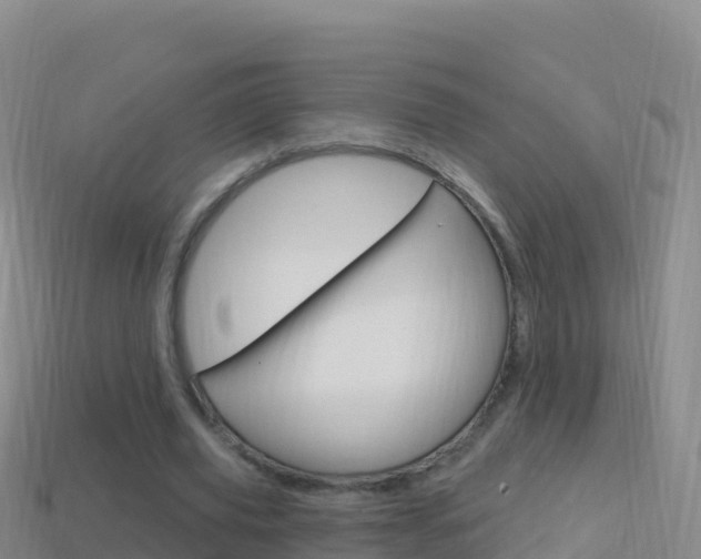 X0000114630629200910201022