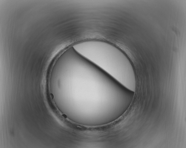 X0000114630630200910201022