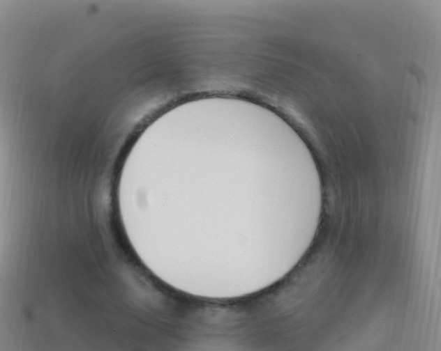 X0000114630632200910201022