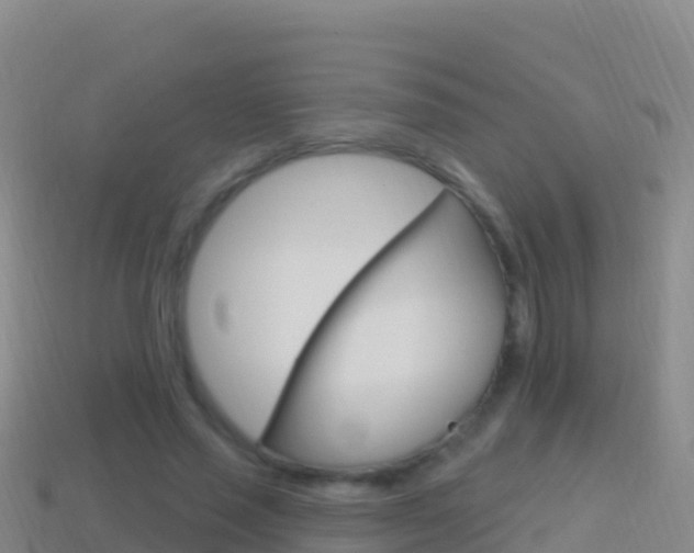 X0000114630637200910201022