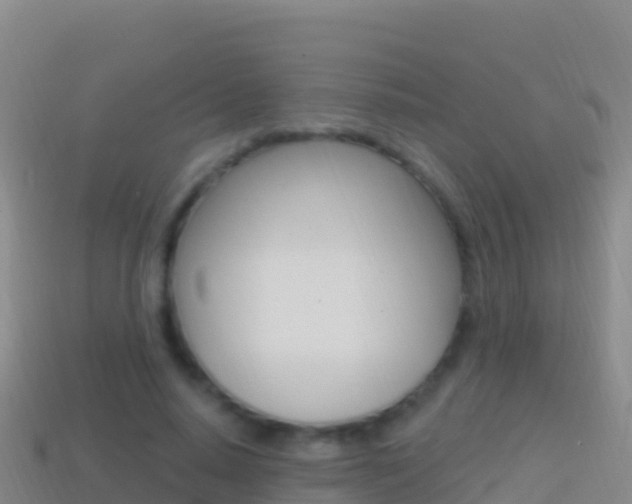 X0000114630640200910201023