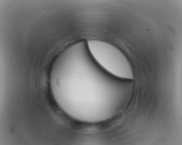 X0000114630643200910201023