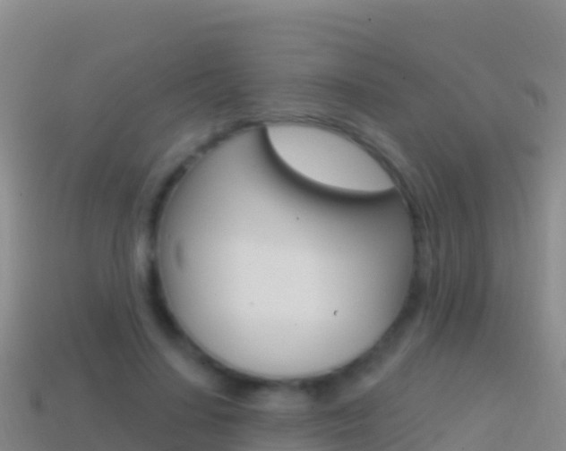 X0000114630644200910201023