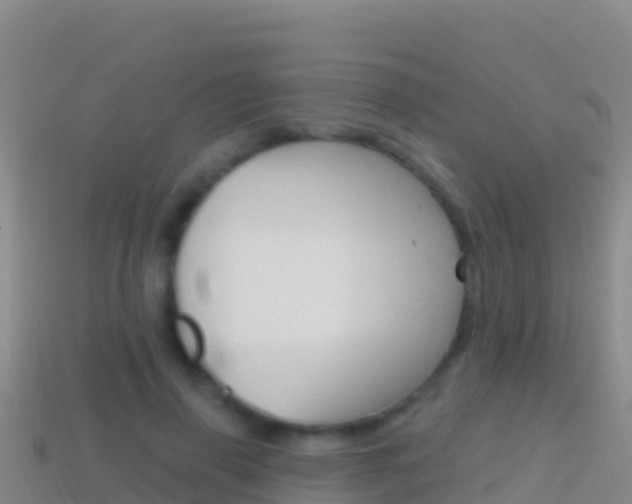 X0000114630645200910201023