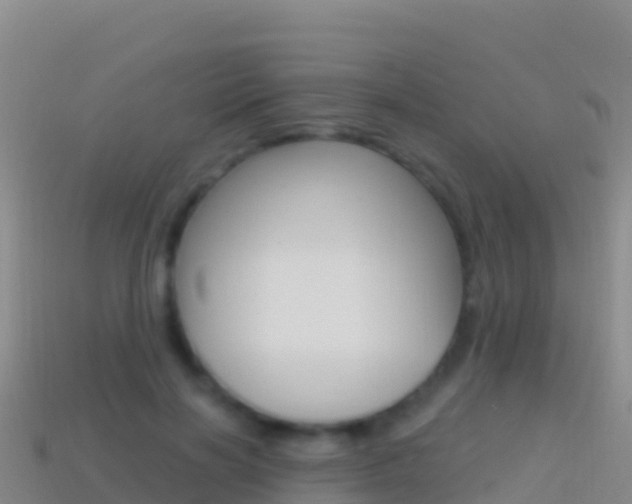 X0000114630646200910201023