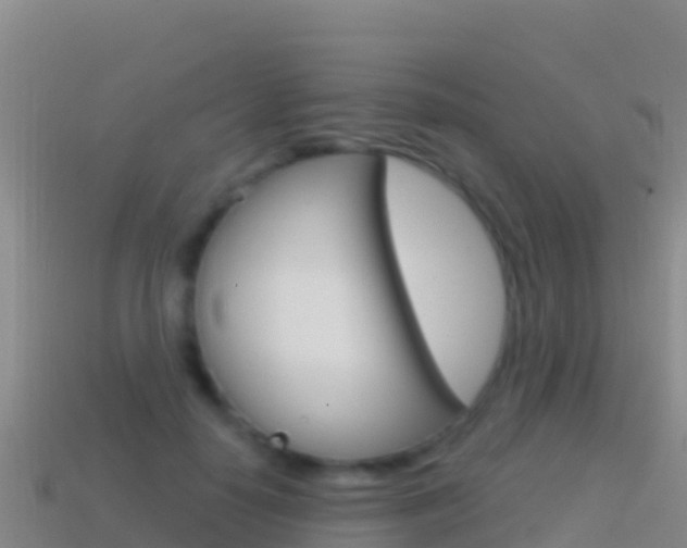 X0000114630650200910201023