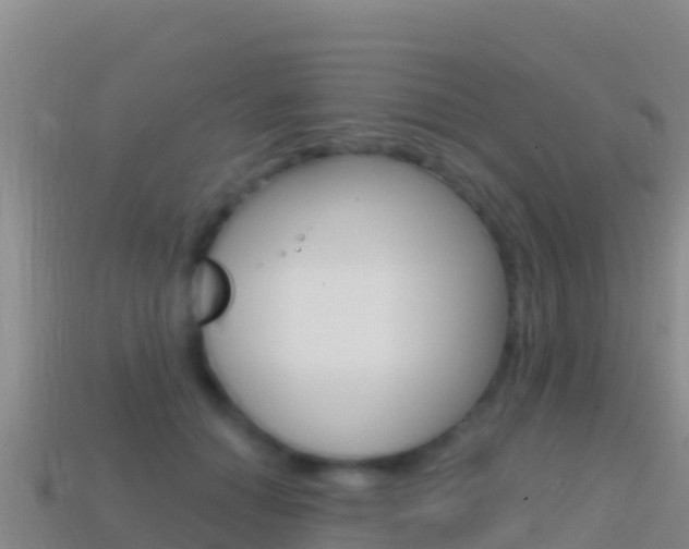 X0000114630654200910201023