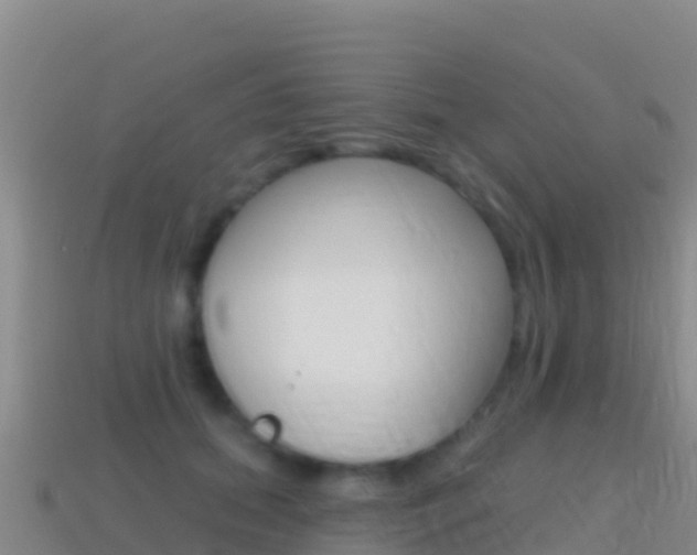 X0000114630655200910201023