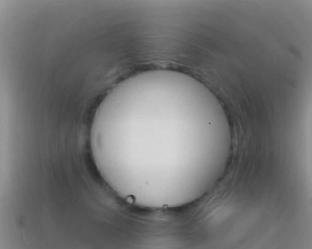 X0000114630656200910201023