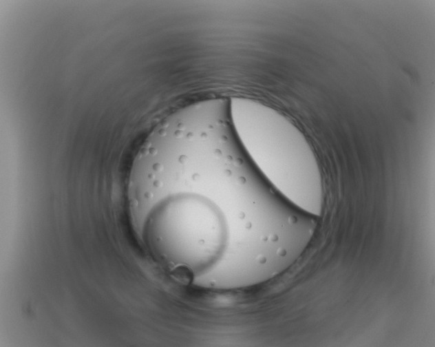 X0000114630662200910201023