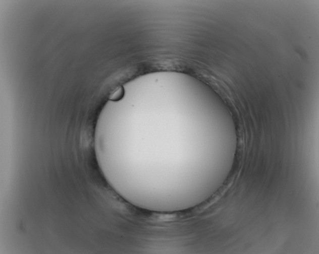 X0000114630665200910201023