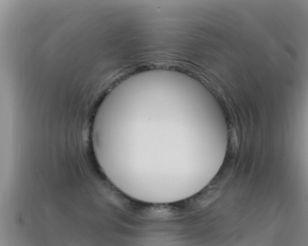 X0000114630668200910201023