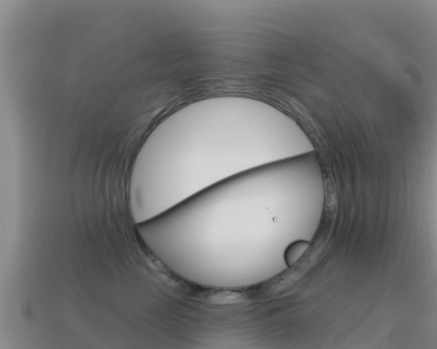 X0000114630669200910201023