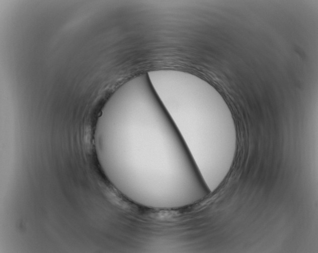 X0000114630670200910201023