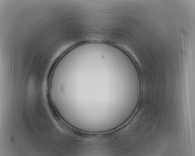 X0000114630674200910201022