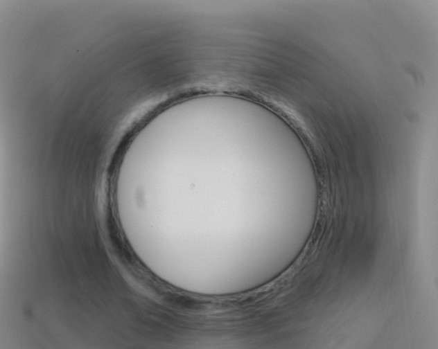 X0000114630678200910201022