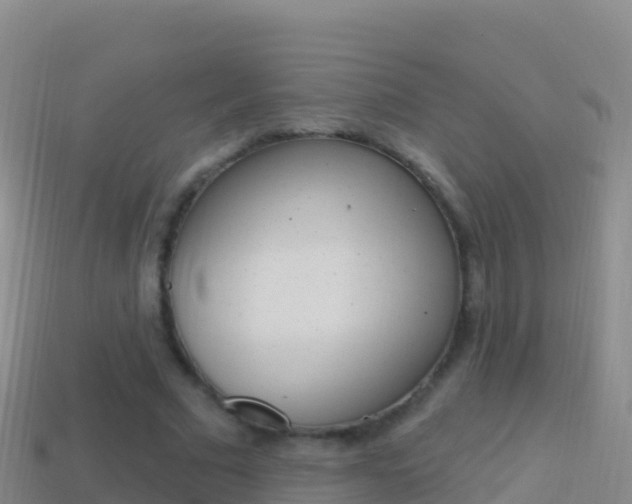 X0000114630681200910201022