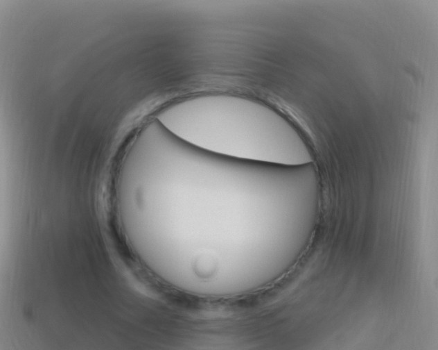 X0000114630682200910201022