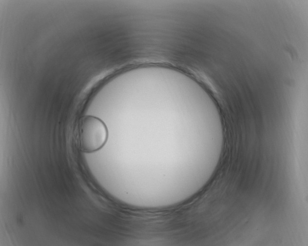 X0000114630684200910201022
