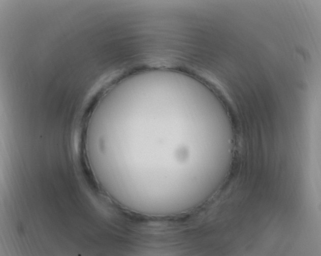 X0000114630686200910201022