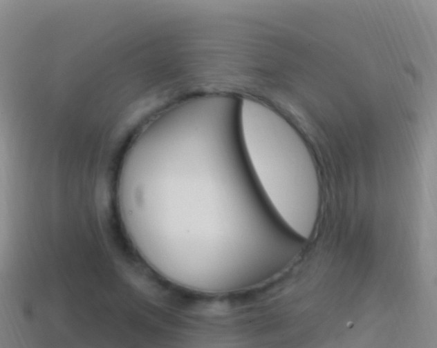 X0000114630687200910201022
