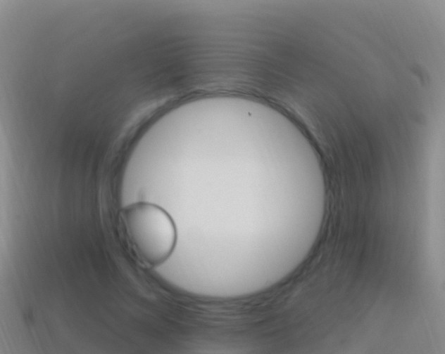 X0000114630688200910201022