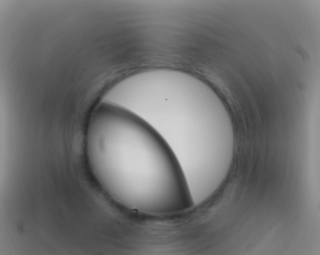 X0000114630689200910201022