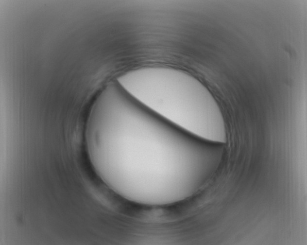 X0000114630695200910201022