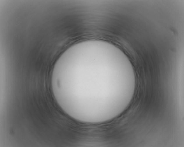 X0000114630697200910201022