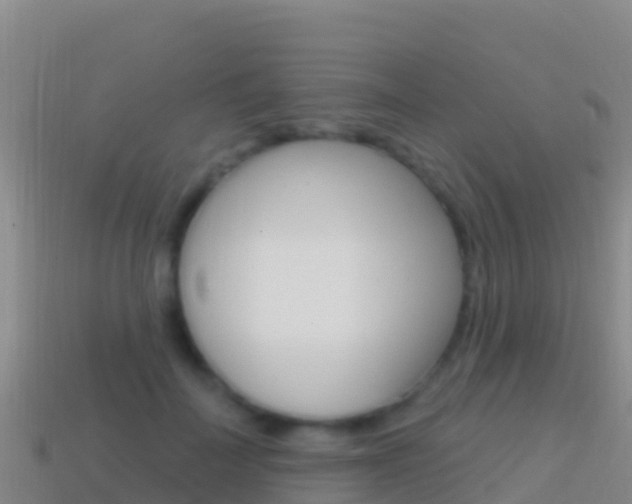 X0000114630699200910201022