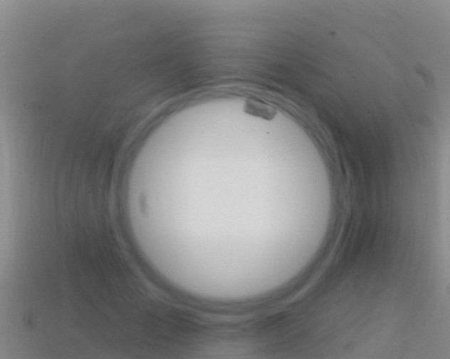 X0000114630701200910201022