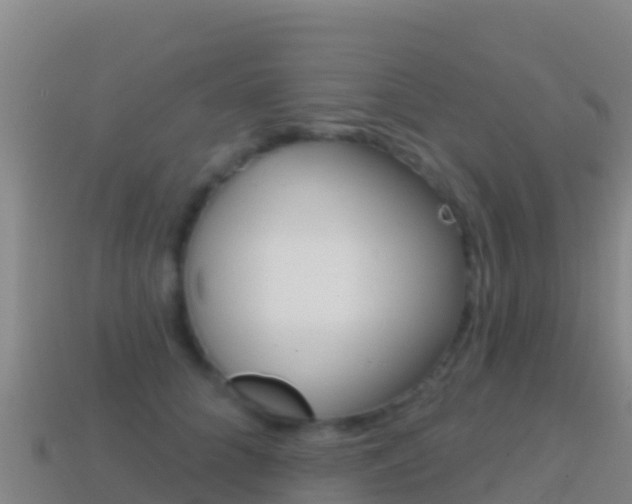 X0000114630704200910201022