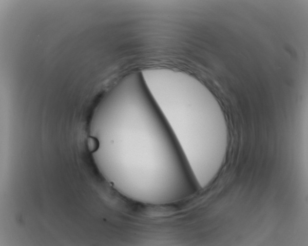 X0000114630707200910201022