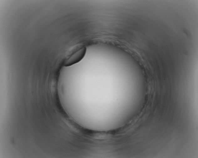 X0000114630708200910201022