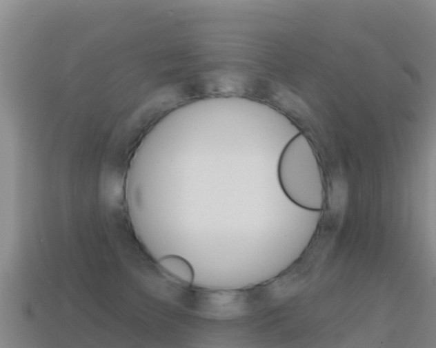 X0000114630709200910201022