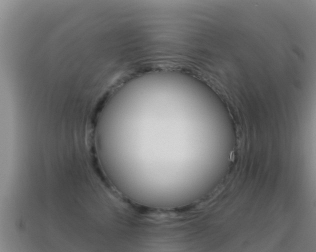 X0000114630712200910201022