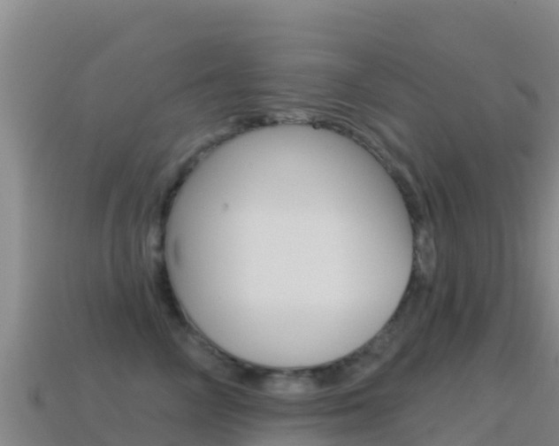 X0000114630714200910201022