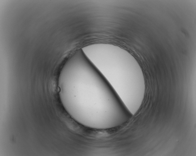 X0000114630715200910201022